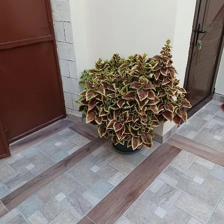 Niochori 1 Родос